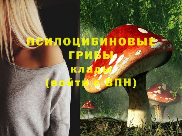 ешки Бугульма