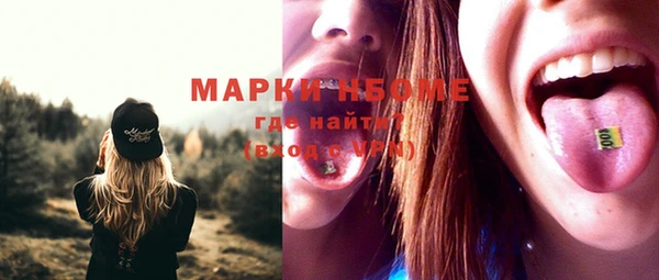 крисы Бородино