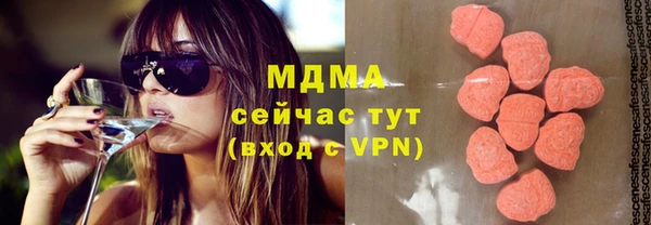 крисы Бородино