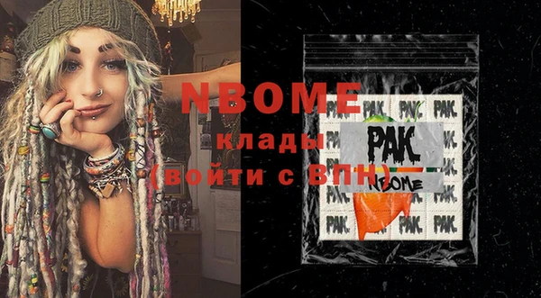 крисы Бородино