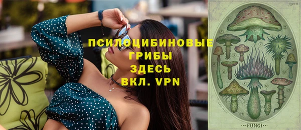 ешки Бугульма