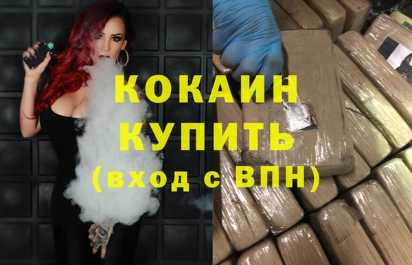 крисы Бородино