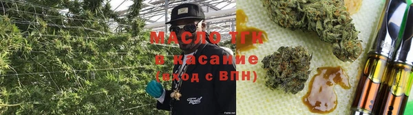 крисы Бородино