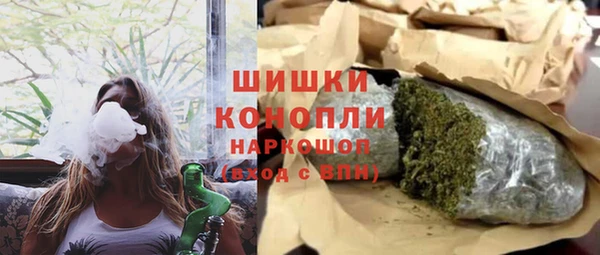крисы Бородино