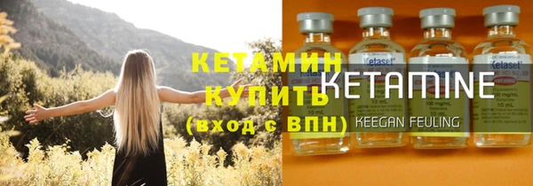 крисы Бородино