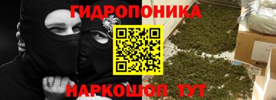 скорость Можга