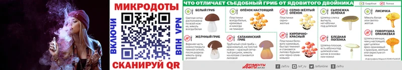 где продают Выборг Галлюциногенные грибы мухоморы