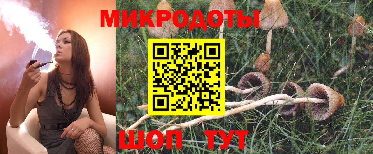 Галлюциногенные грибы GOLDEN TEACHER  Галлюциногенные грибы Magic Shrooms  купить наркотик  Выборг  Вход с VPN 