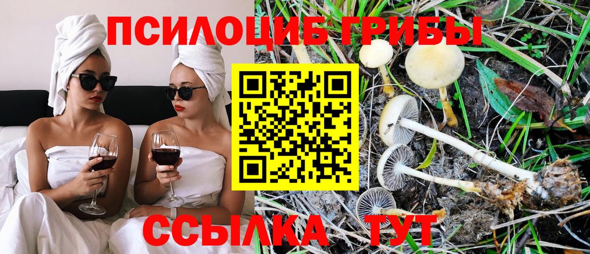Галлюциногенные грибы GOLDEN TEACHER Выборг